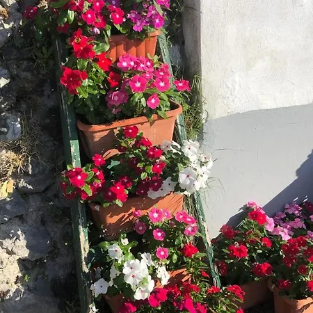 Seaview From 1900 - 5 Min From Center - 100 From Duoglio Sea - 160 Stairs From The Coast Main Route Penzion Amalfi