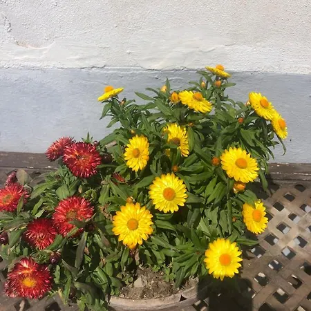 Pensión L'antica Casa-a Beautiful View. Amalfi