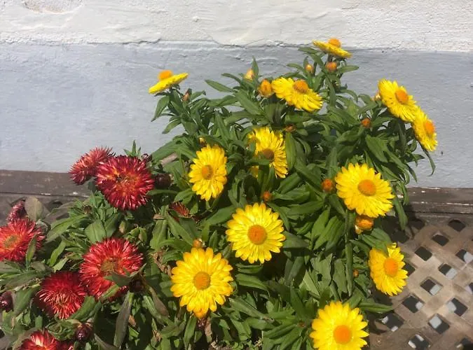 Affittacamere L'antica Casa-a Beautiful View. Amalfi